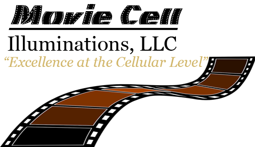 Movie Cell Illuminations